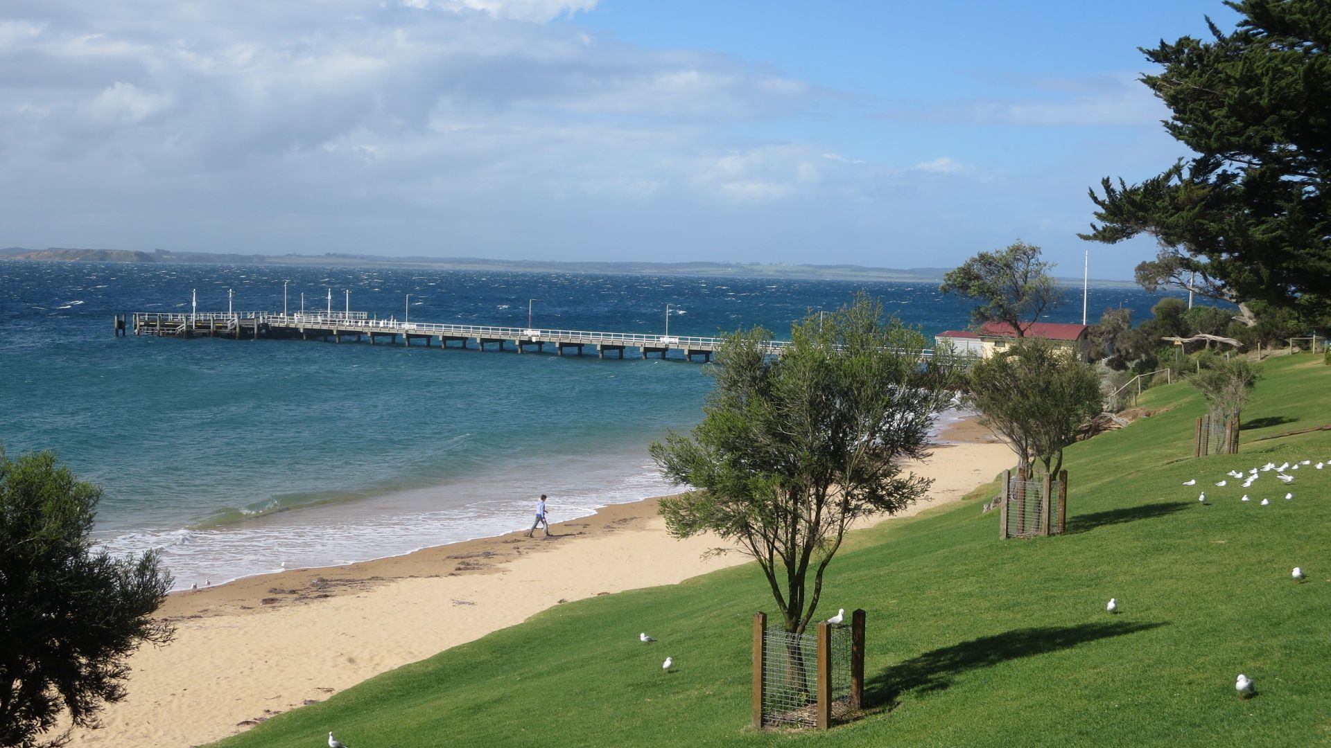 PortFairyPhillipIslandVictoria Archives Five Star Vagabond