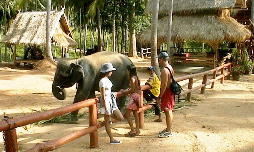 koh samui airport