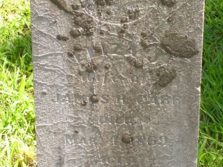 Picture by Ray Sowers