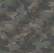 http://i214.photobucket.com/albums/cc105/24168/egobox/backgrounds/patterns/Army.gif