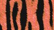 Tiger Fizz