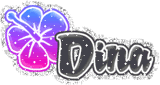 Dina Name