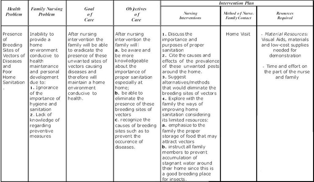 Family Nursing Care Plan | eNurse CarePlan