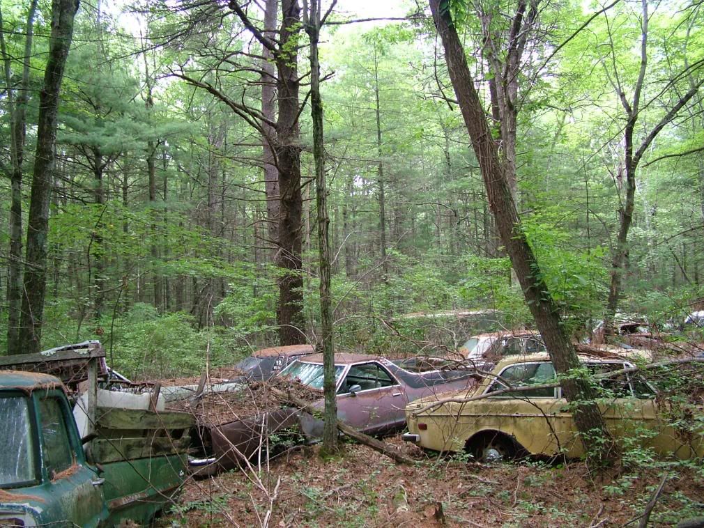 Re HUGE classic car graveyard found