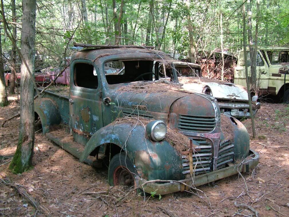 I just thought how it was interesting to see this huge of a car graveyard