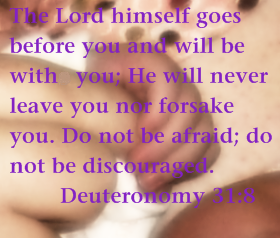 Deut.31:8