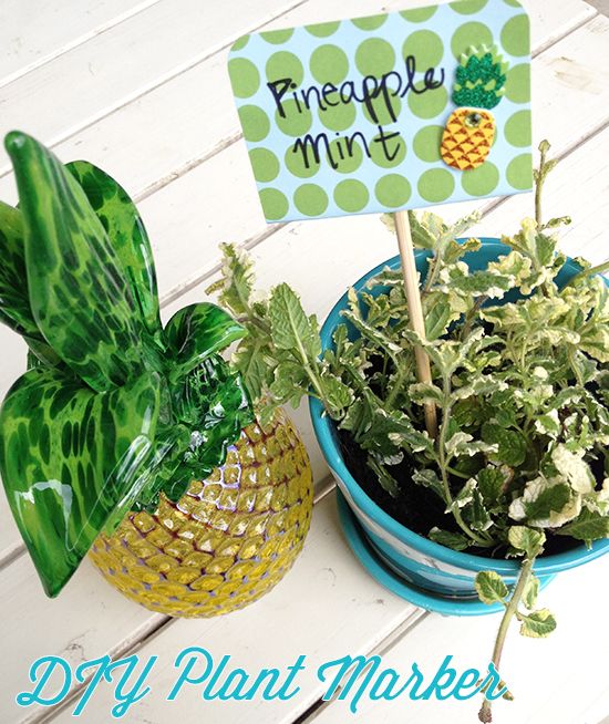 LPF DIY: Plant Markers