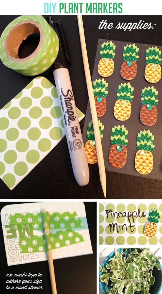 LPF DIY: Plant Markers