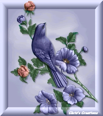 57992758715BLUEBIRDS.gif Flores image by marialoussa