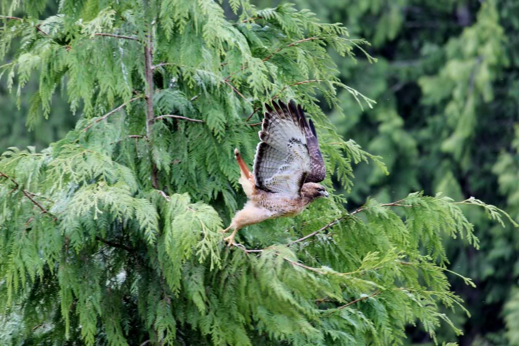 IMAGE: http://i214.photobucket.com/albums/cc140/Dar_Lyn_S/014-2.jpg