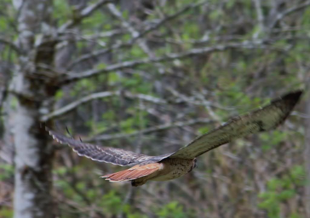 IMAGE: http://i214.photobucket.com/albums/cc140/Dar_Lyn_S/015-4.jpg