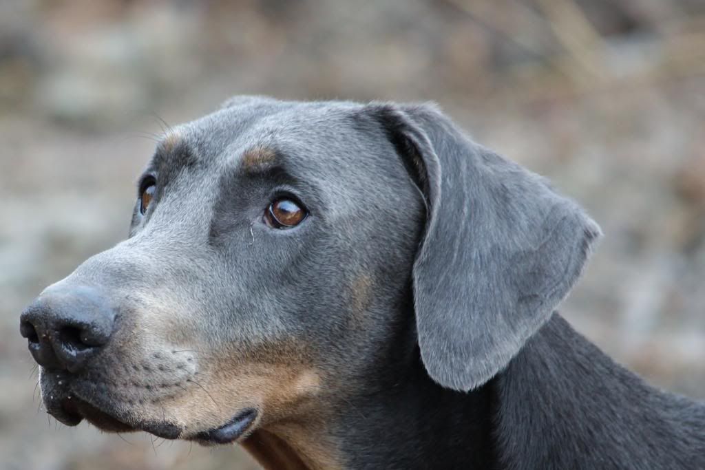 IMAGE: http://i214.photobucket.com/albums/cc140/Dar_Lyn_S/022-2.jpg