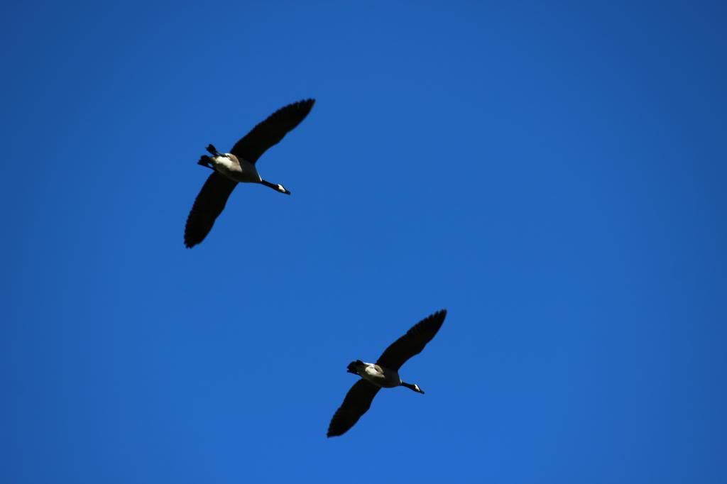 IMAGE: http://i214.photobucket.com/albums/cc140/Dar_Lyn_S/027-3.jpg