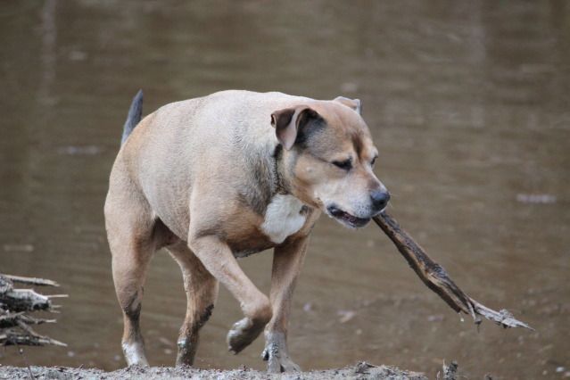 IMAGE: http://i214.photobucket.com/albums/cc140/Dar_Lyn_S/036.jpg