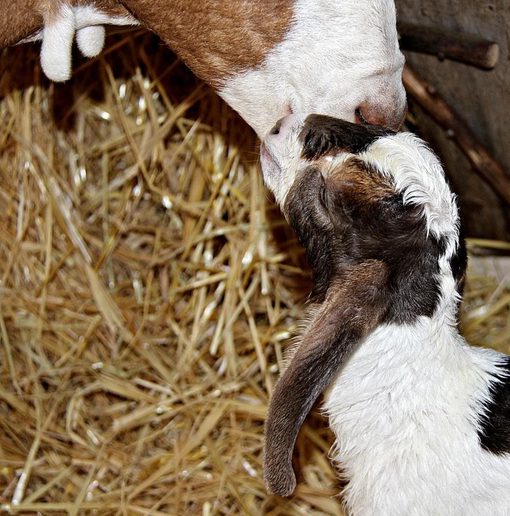 IMAGE: http://i214.photobucket.com/albums/cc140/Dar_Lyn_S/048-4.jpg