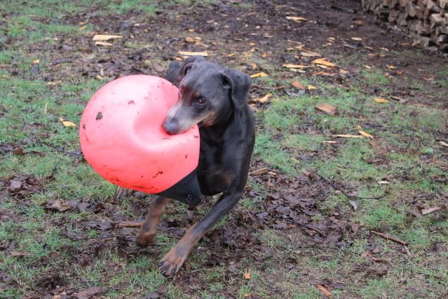 IMAGE: http://i214.photobucket.com/albums/cc140/Dar_Lyn_S/051-1.jpg