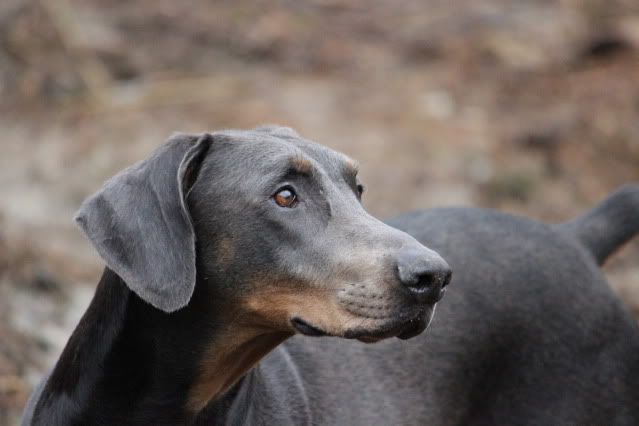 IMAGE: http://i214.photobucket.com/albums/cc140/Dar_Lyn_S/058-1.jpg