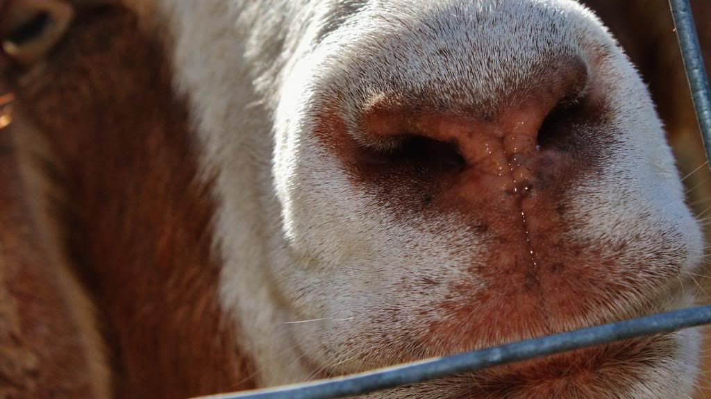 IMAGE: http://i214.photobucket.com/albums/cc140/Dar_Lyn_S/0623.jpg