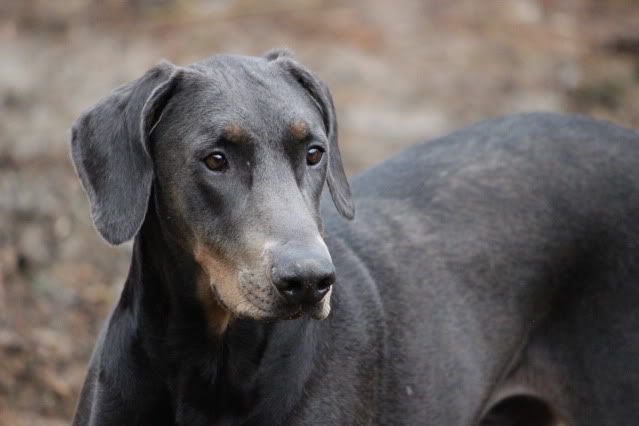 IMAGE: http://i214.photobucket.com/albums/cc140/Dar_Lyn_S/064-1.jpg