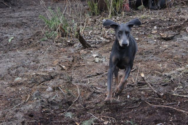 IMAGE: http://i214.photobucket.com/albums/cc140/Dar_Lyn_S/099-1.jpg