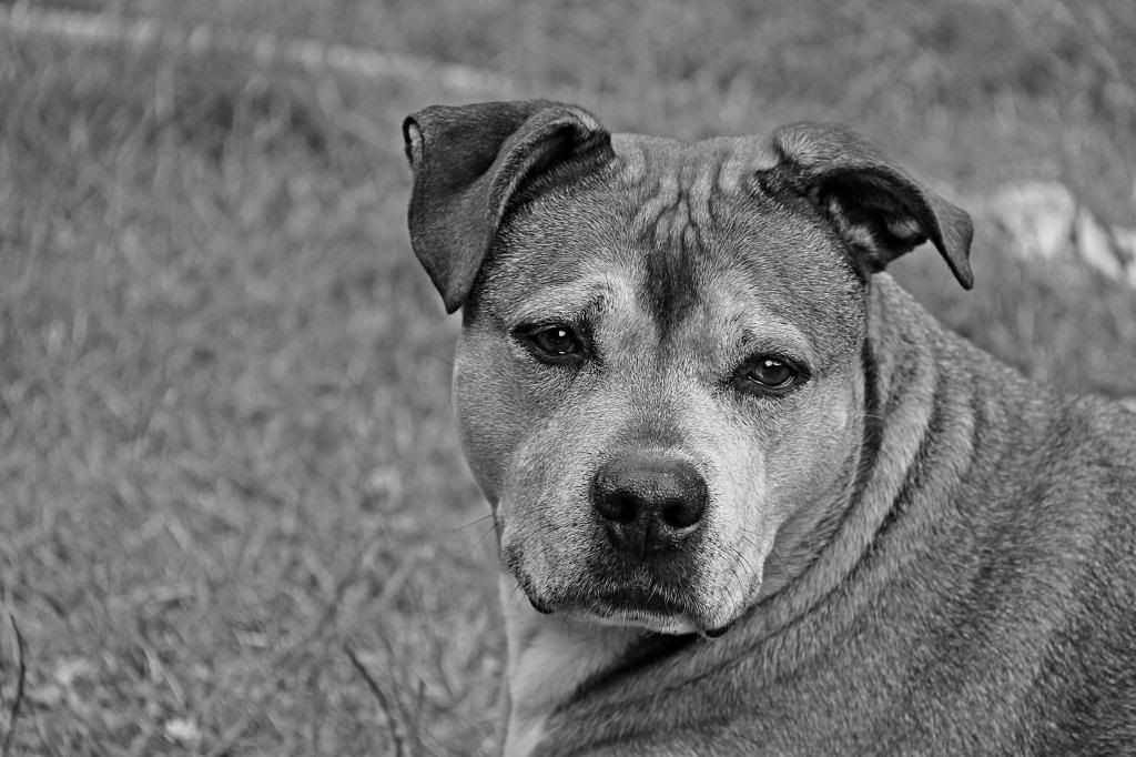 IMAGE: http://i214.photobucket.com/albums/cc140/Dar_Lyn_S/199.jpg