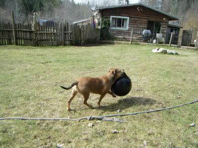 IMAGE: http://i214.photobucket.com/albums/cc140/Dar_Lyn_S/DSCF2151-1.jpg