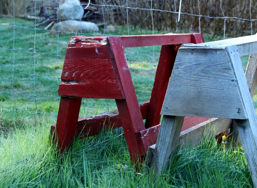 IMAGE: http://i214.photobucket.com/albums/cc140/Dar_Lyn_S/competition%20photos/004.jpg