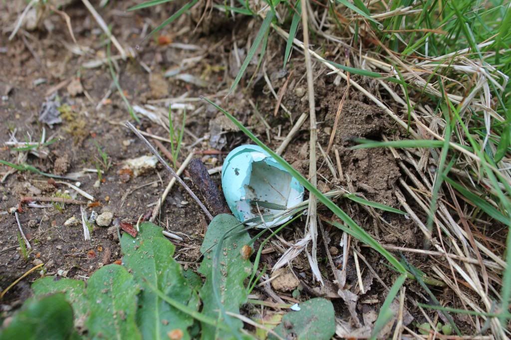 IMAGE: http://i214.photobucket.com/albums/cc140/Dar_Lyn_S/competition%20photos/007.jpg