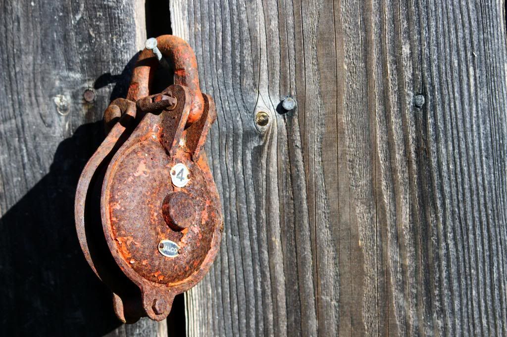 IMAGE: http://i214.photobucket.com/albums/cc140/Dar_Lyn_S/competition%20photos/0232.jpg