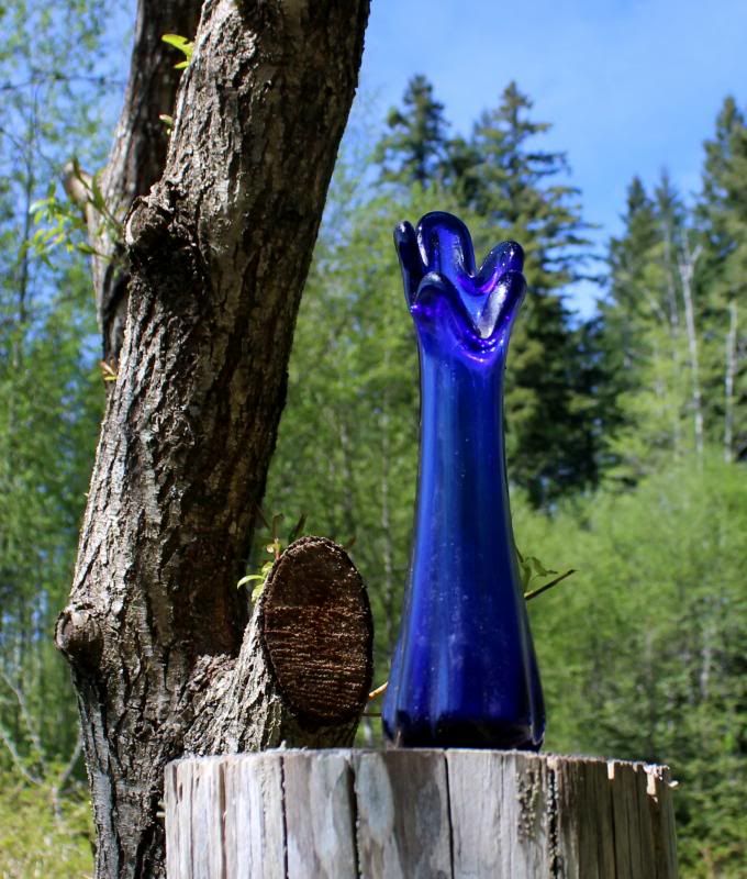 IMAGE: http://i214.photobucket.com/albums/cc140/Dar_Lyn_S/competition%20photos/073.jpg