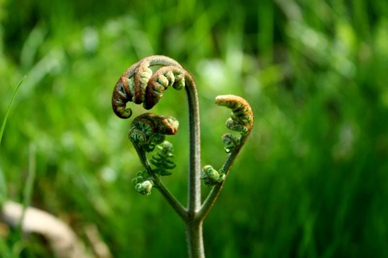 IMAGE: http://i214.photobucket.com/albums/cc140/Dar_Lyn_S/competition%20photos/097-2.jpg