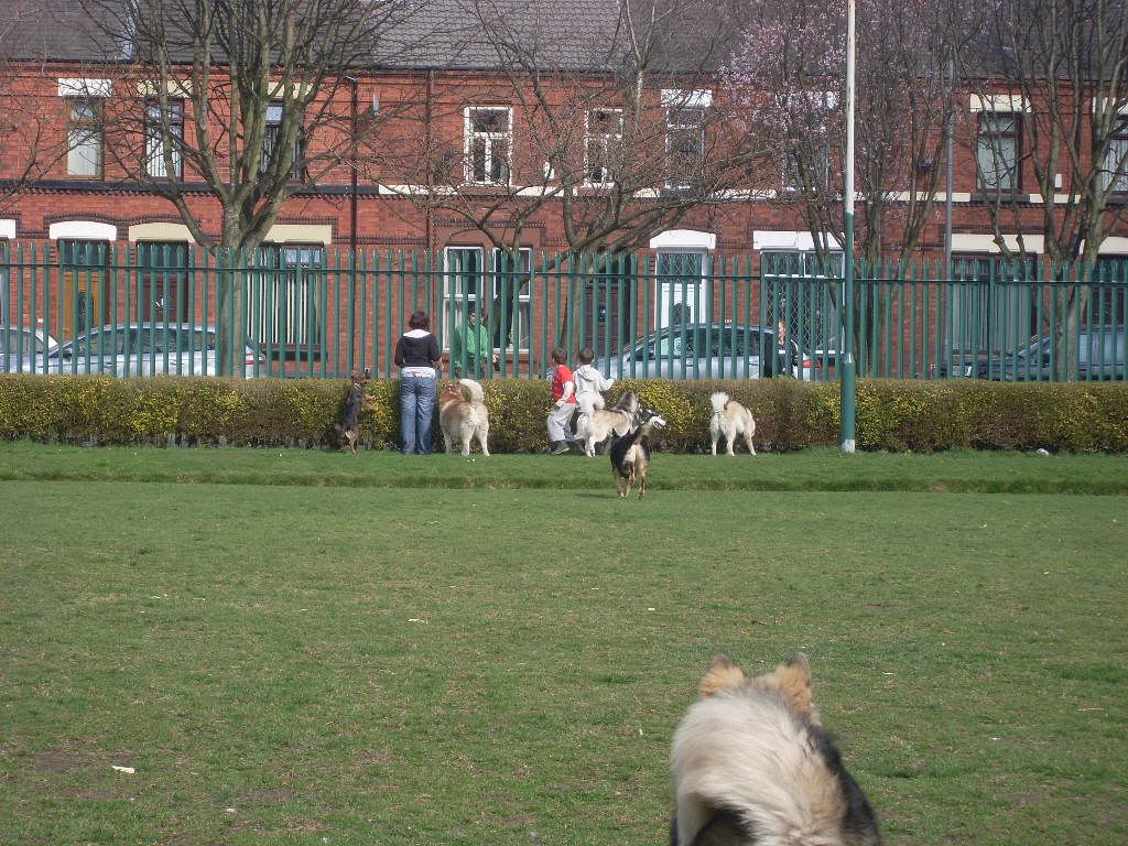 DogPark27311012.jpg