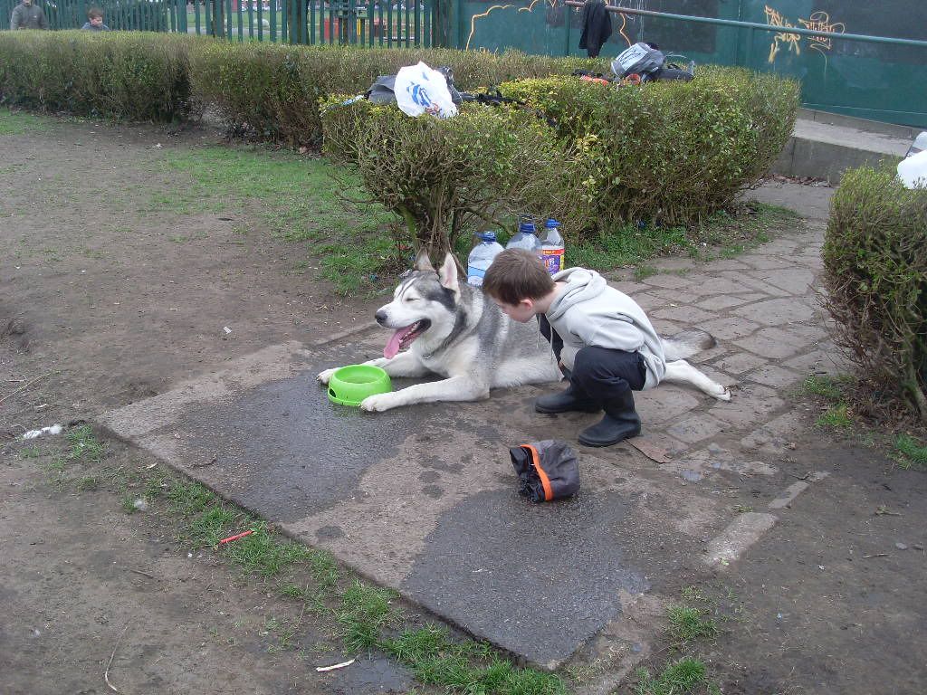 DogPark27311020.jpg