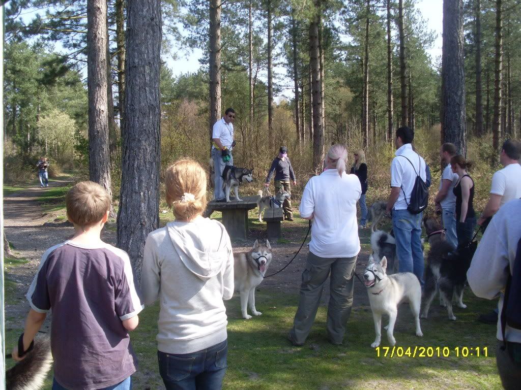 HuskyCampingwkendDorset13-20Apr1-16.jpg