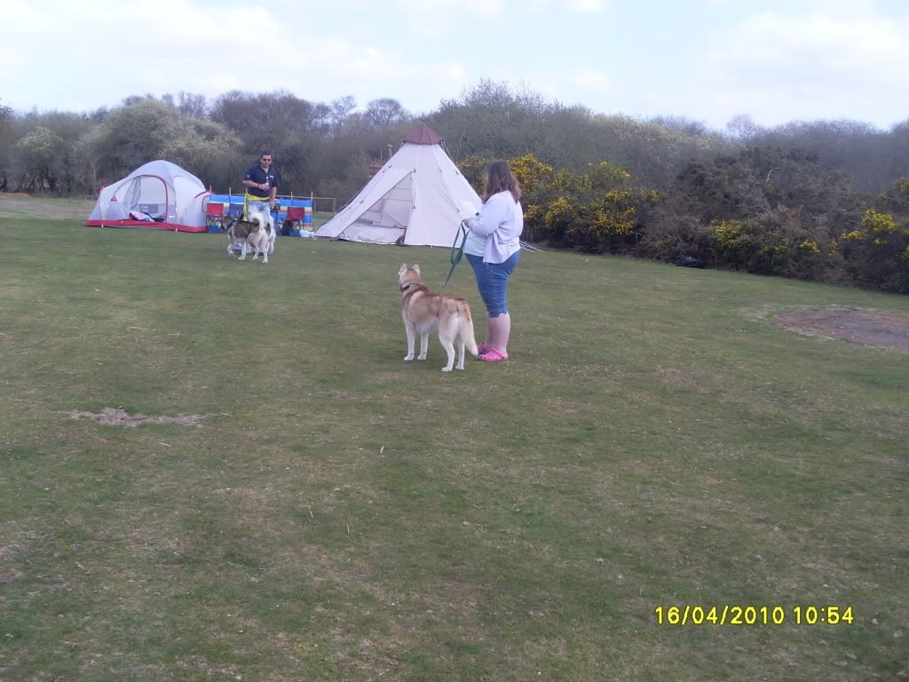 HuskyCampingwkendDorset13-20Apr1-2.jpg