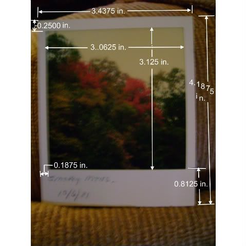 PolaroidFilm-Picture-1.jpg