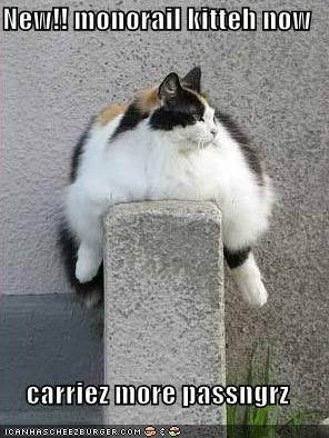 funny-pictures-fat-monorail-cat.jpg