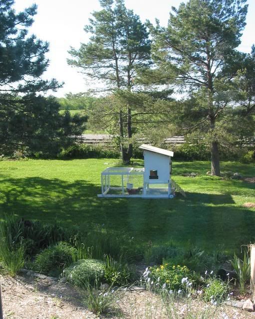 gardens003.jpg