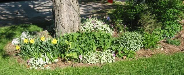 gardens014.jpg