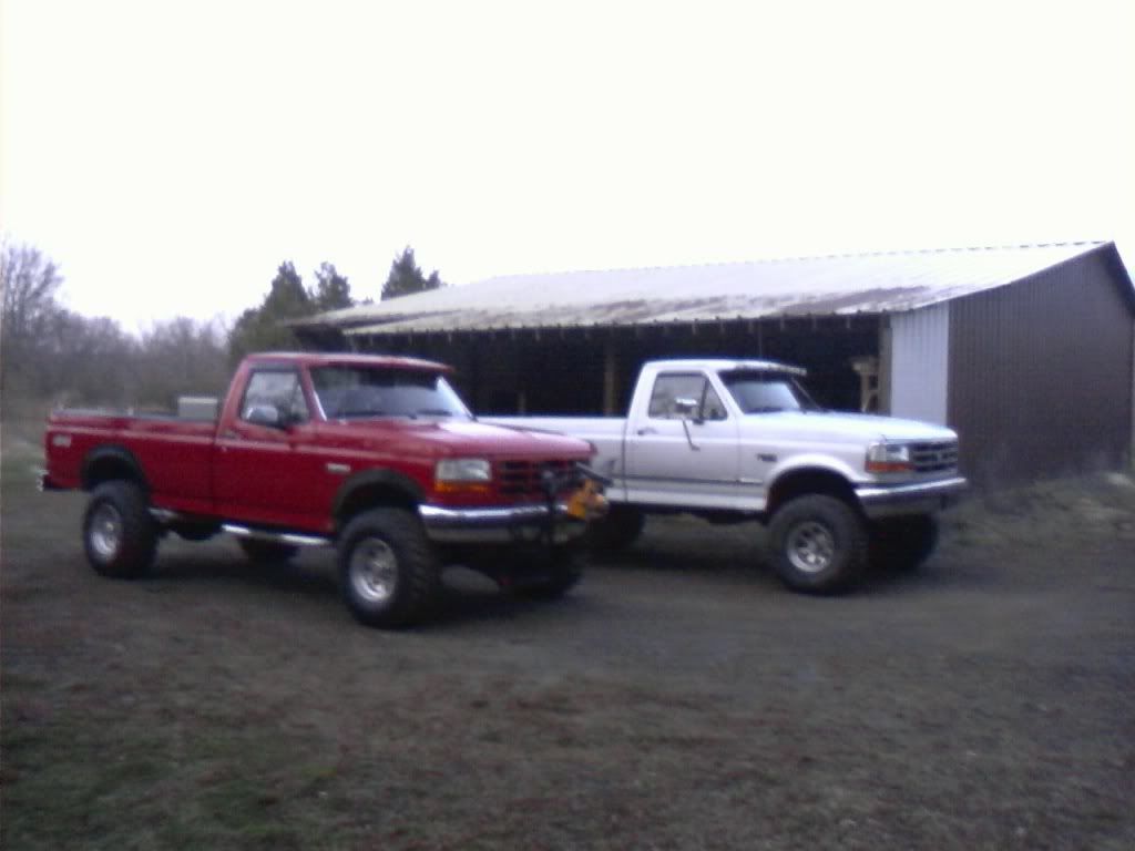 8709241143_ORIG.jpg