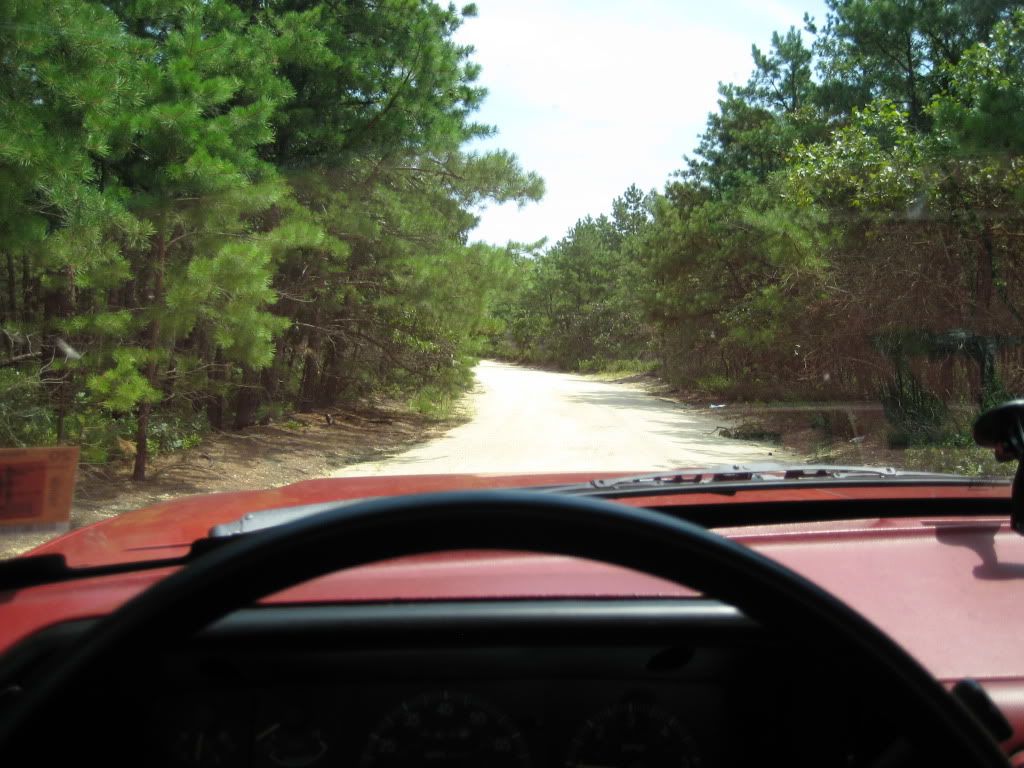 IMG_0502.jpg