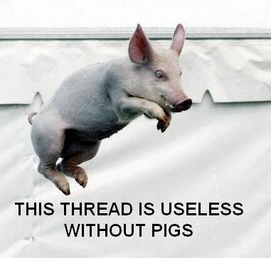 THREAD-PIGS.jpg