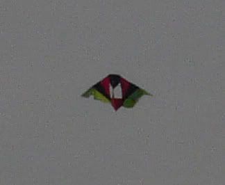 BikerKite.jpg