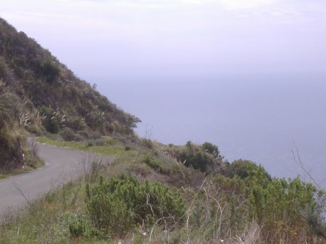 http://i214.photobucket.com/albums/cc195/nevinreilly/Rides/central%20CA%203_10_12/DSCF1906.jpg