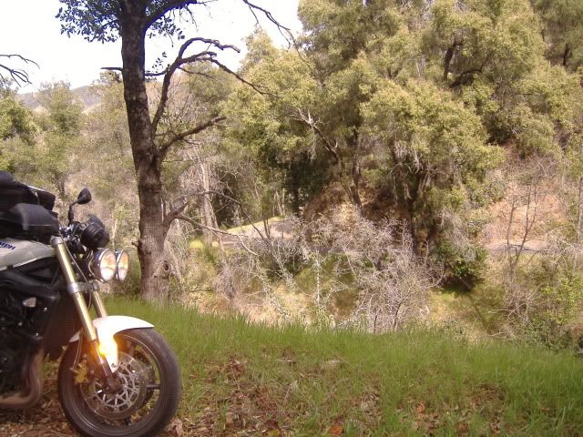 http://i214.photobucket.com/albums/cc195/nevinreilly/Rides/central%20CA%203_10_12/DSCF1910.jpg