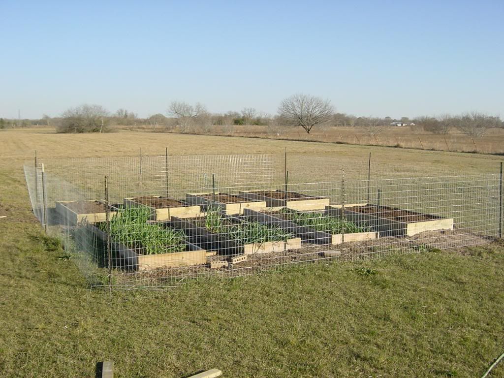 Garden02-22-09003.jpg