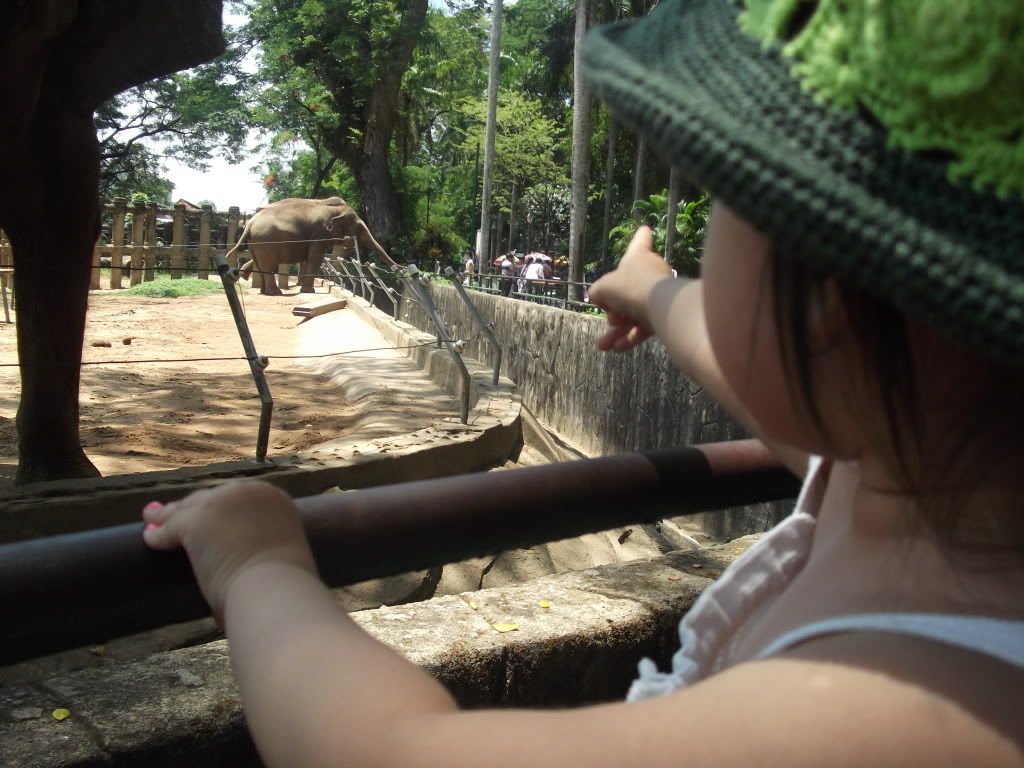 Ký sự Gia đình nhỏ của mình: - 6