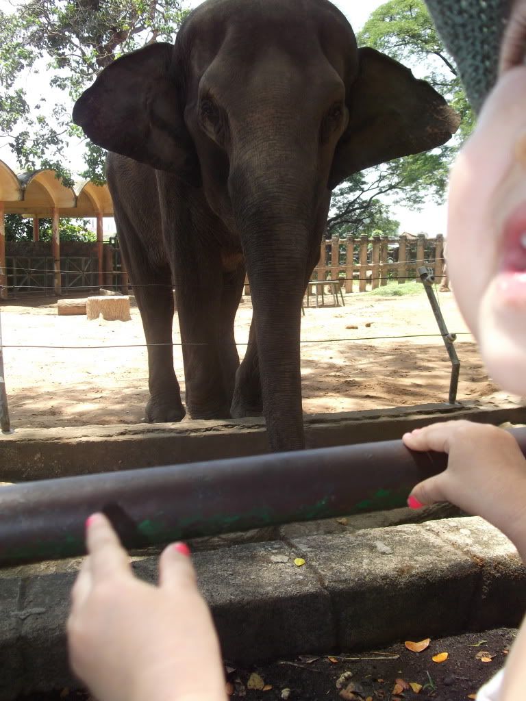 Ký sự Gia đình nhỏ của mình: - 7