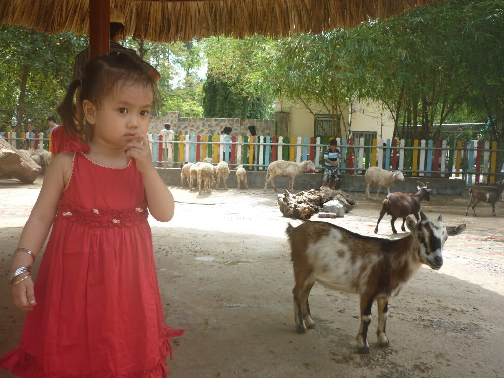 Ký sự Gia đình nhỏ của mình: - 17