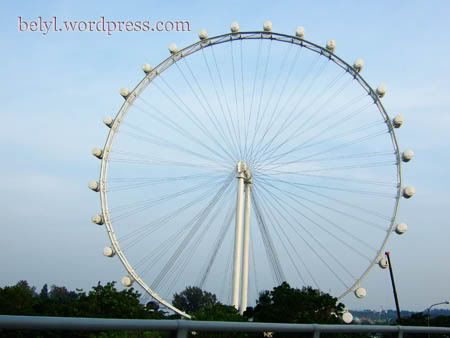 the Singapore Flyer while